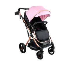 Coche Bebé Moises Y Paseador 2 En 1 Gold Lx Bebesit