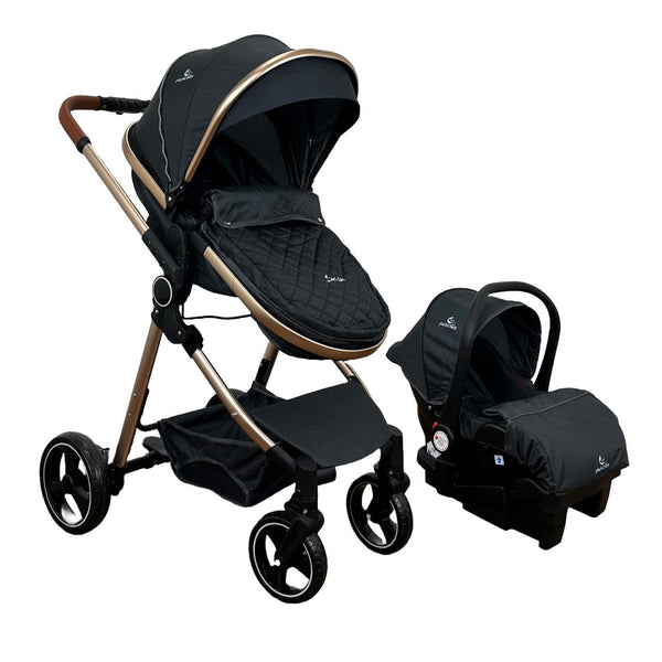 Coche Moises con Portabebé y Base Travel System Onix