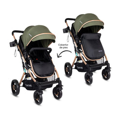 Coche Bebé Moises Y Paseador 2 En 1 Gold Lx Bebesit