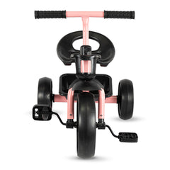 Triciclo Clásico Trike BW by Prinsel