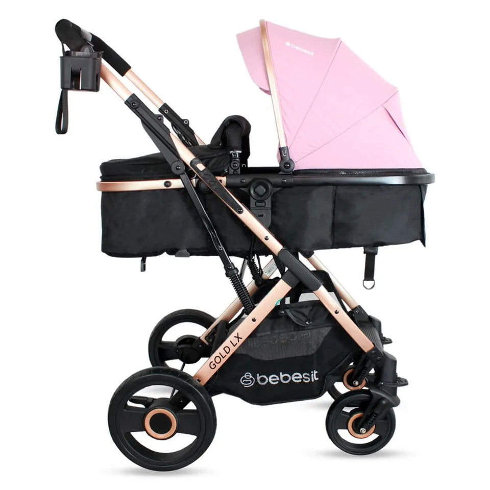 Coches Moises