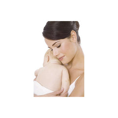 Conchas Copas Pezoneras Recolectoras Protectores Leche Avent