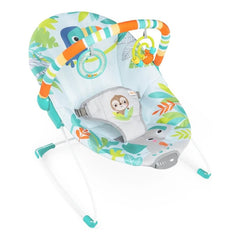 Silla Bouncer Vibradora  Bright Starts